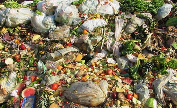 kitchen waste food waste recycling
