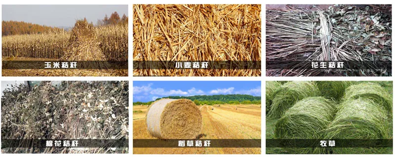 Biomass-Wheat-Corn-Straw.jpg