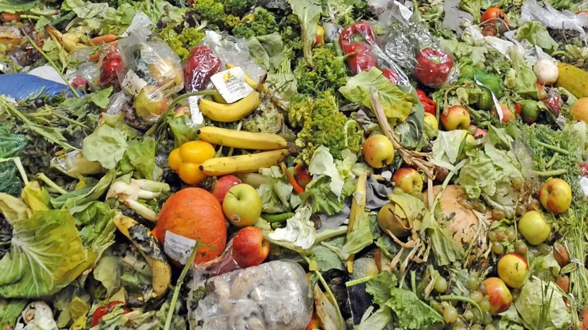 /wp-content/uploads/wanrooetech-recycling-solution-food-waste-recycling-recycling.webp